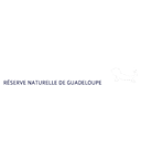 Excursion en Guadeloupe vers Petite-Terre