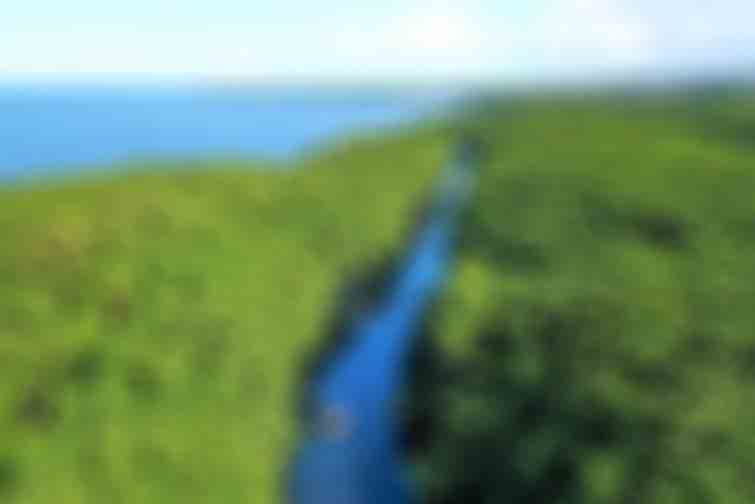 canal rivière moustique