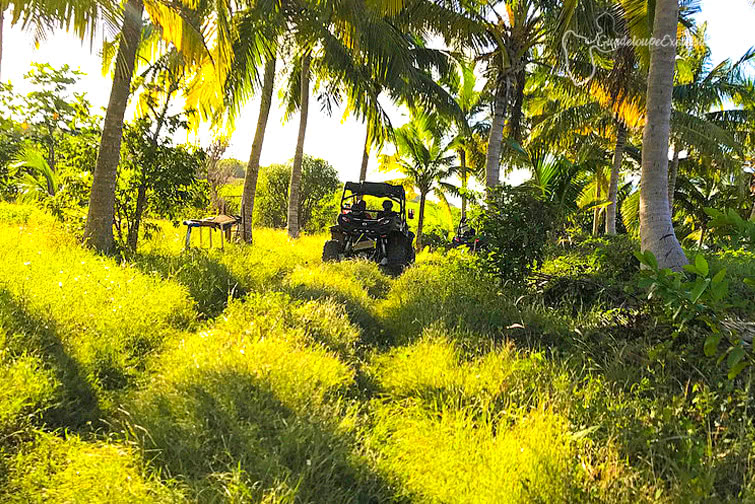 excursion buggy guadeloupe