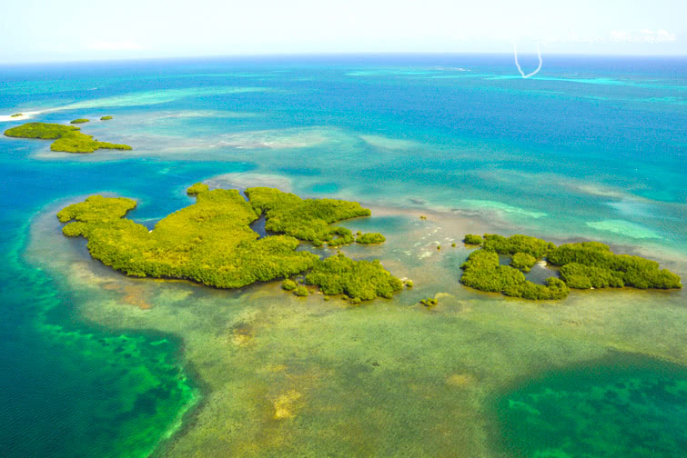 excursion grand cul de sac marin guadeloupe