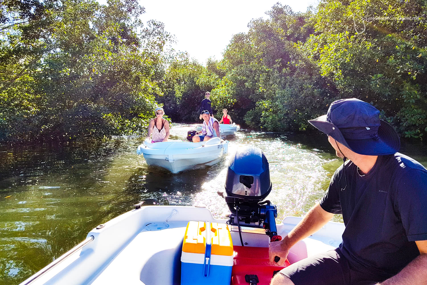 excursion en Guadeloupe mangrove
