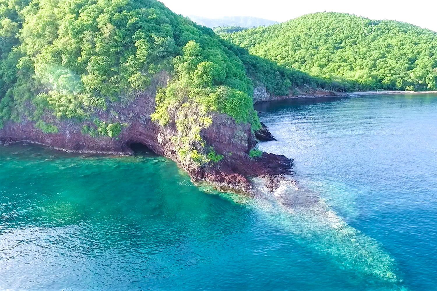 excursion en Guadeloupe tortue