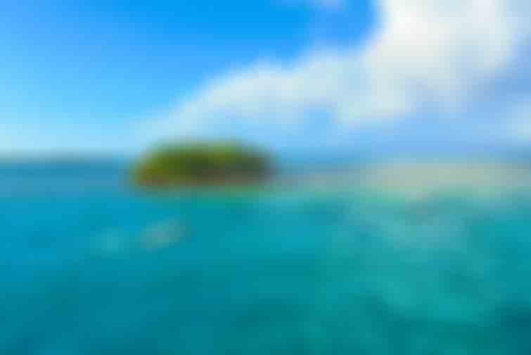 excursion en guadeloupe snorkeling