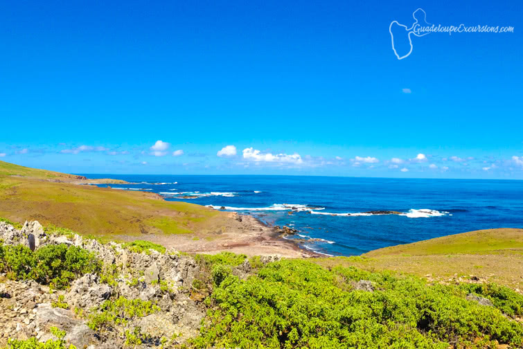 plateau Désirade guadeloupe