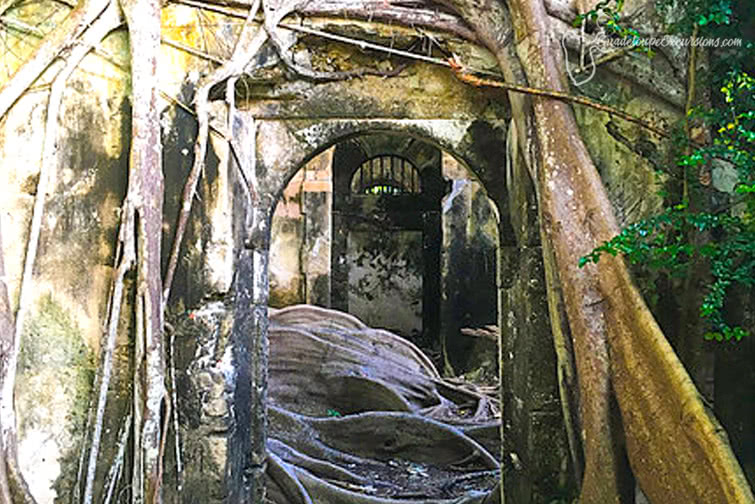 prison petit canal guadeloupe