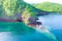 Excursion Guadeloupe rencontre avec les tortues